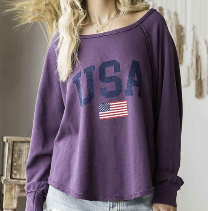USA Graphic French Terry Sweatshirt Made in USA
