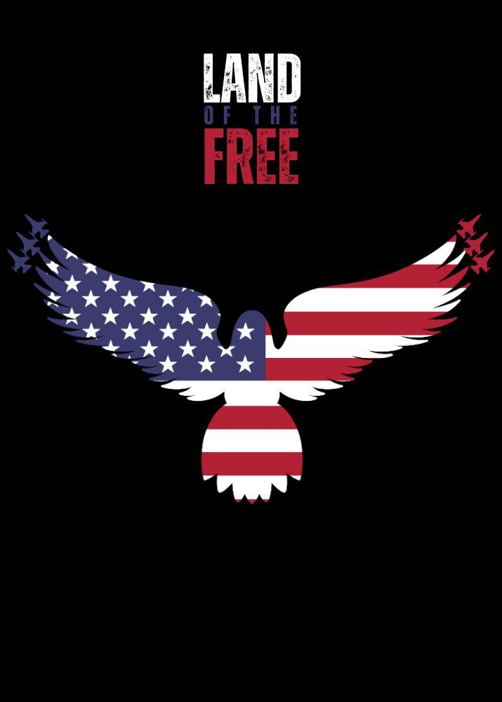 Made in USA Men's Graphic Black Long Sleeve Patriotic Cotton Tee with Land of the Free American Flag, Fighter Jets, Land of the Free Tee Shirt, 100% Cotton