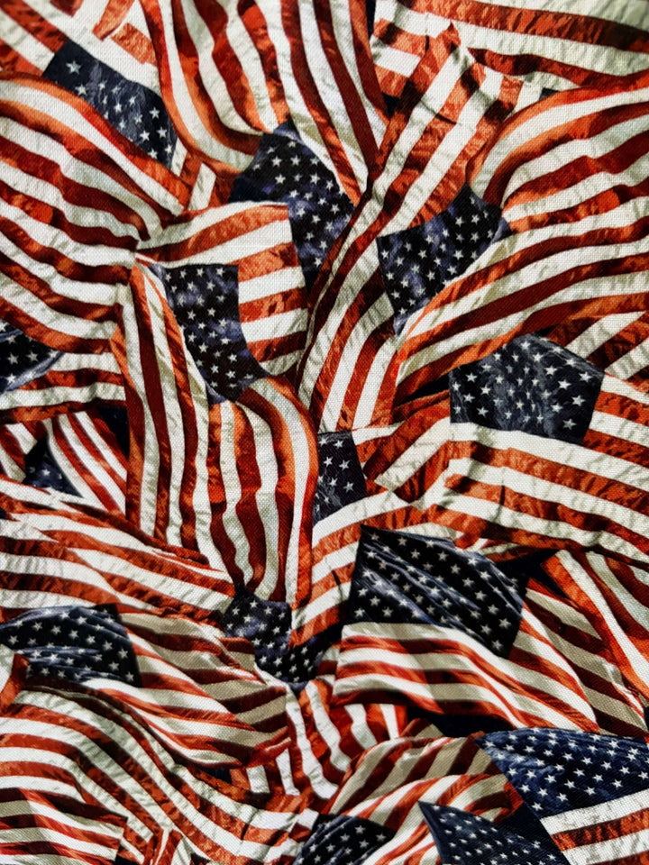 American Flag Fit &amp; Flare Dress, detail view