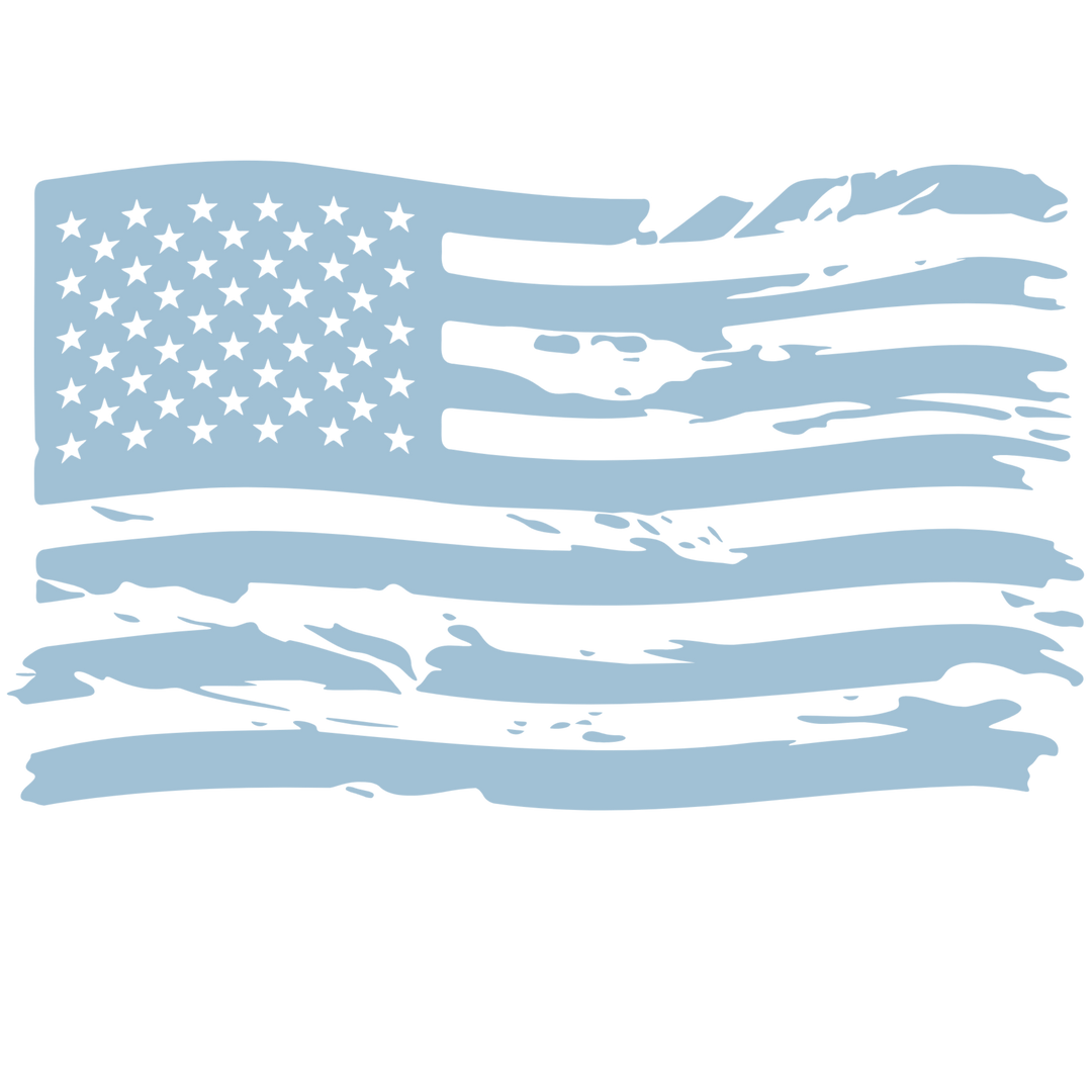 Distressed Flag 2